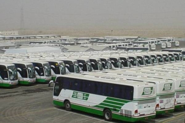 10,000 buses ready to transport Umrah pilgrims and worshipers