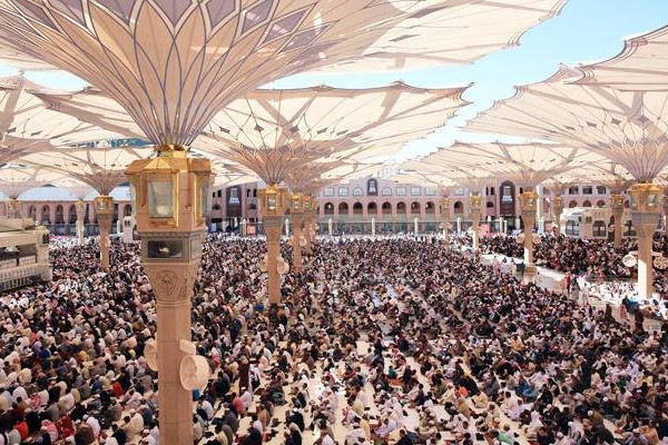 Over 193,000 pilgrims arrive in Madinah; Egyptians top the list