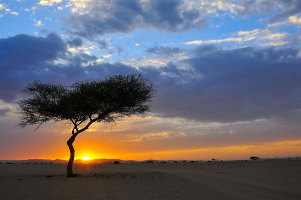 Saudi desert gateway fast becoming the next tourist hotspot