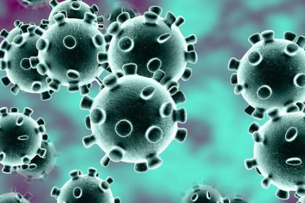 Agencies, holidaymakers losing money in coronavirus travel ban