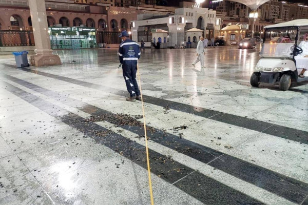 Prophet’s Mosque infested with crickets