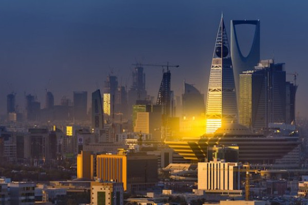 Saudi aims to issue tourist visas next year, official says