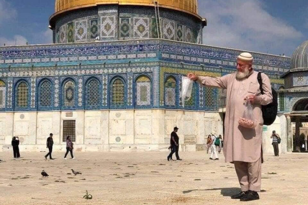 'Father of kittens' at Al-Aqsa in Jerusalem passes away due to COVID