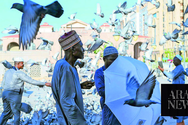 Beloved birds of Makkah’s Grand Mosque welcome sight for pilgrims who seek peace, sanctuary