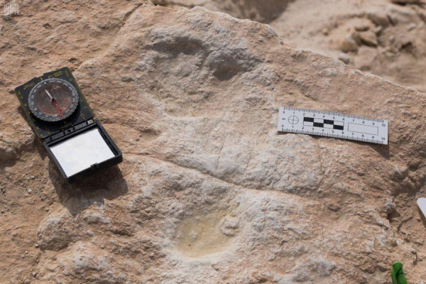 A year of unprecedented archaeological findings in Saudi Arabia