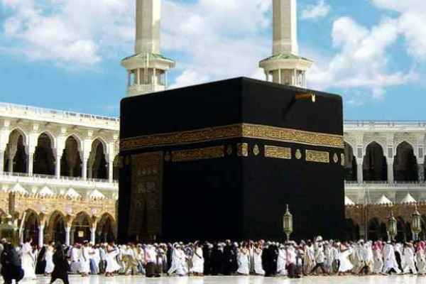 50 percent decrease in number of Jordanian