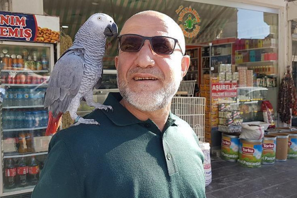 Turkish man, pet parrot gear up for Mecca pilgrimage