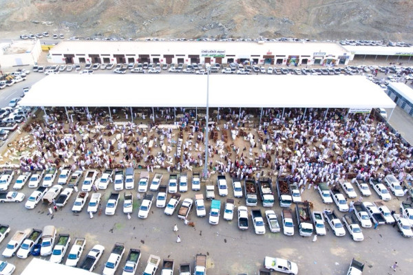 King Salman to cover costs of sacrificial animals for Hajj and Umrah program pilgrims